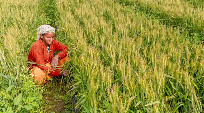 डिजिटल क्रॉप सर्वे में भाग लेने वाले युवा सर्वेयर्स को 7 दिन में मिलेगा पूरा भुगतान: प्रशासन
