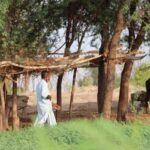 किसानों के लिए बड़ी सुविधा! एमपी जीआईएस 2.0 भूलेख पोर्टल लॉन्च, अब व्हाट्सऐप पर मिलेगी खसरे की नक