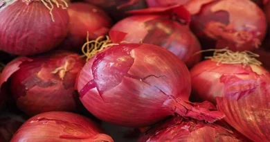 Onion Price: आज किस राज्य में मिले प्याज किसानों को बेहतर भाव? जानें राजस्थान और MP के प्याज मंडी रेट