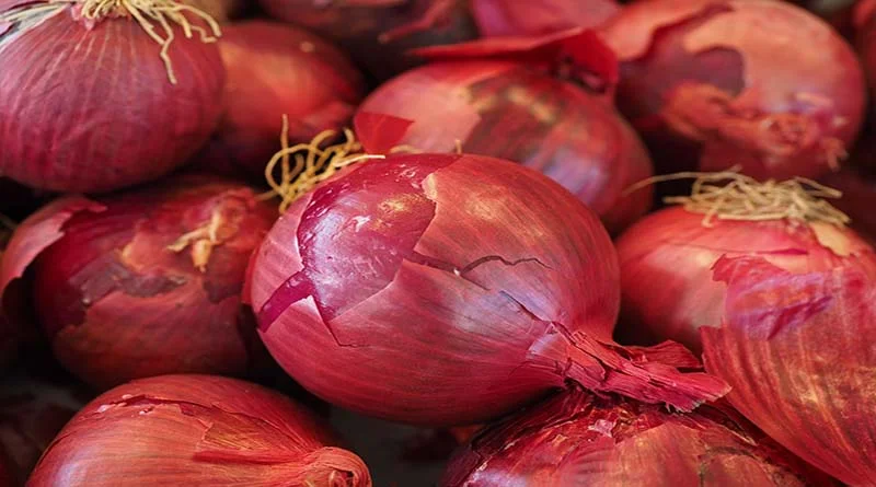 Onion Price: आज किस राज्य में मिले प्याज किसानों को बेहतर भाव? जानें राजस्थान और MP के प्याज मंडी रेट