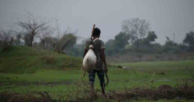 मध्यप्रदेश के किसानों के लिए जरूरी सूचना! पीएम फसल बीमा योजना की तिथि बढ़ी, अब 30 अगस्त तक कराएं बीमा