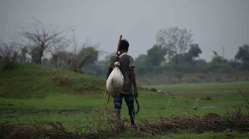 मध्यप्रदेश के किसानों के लिए जरूरी सूचना! पीएम फसल बीमा योजना की तिथि बढ़ी, अब 30 अगस्त तक कराएं बीमा