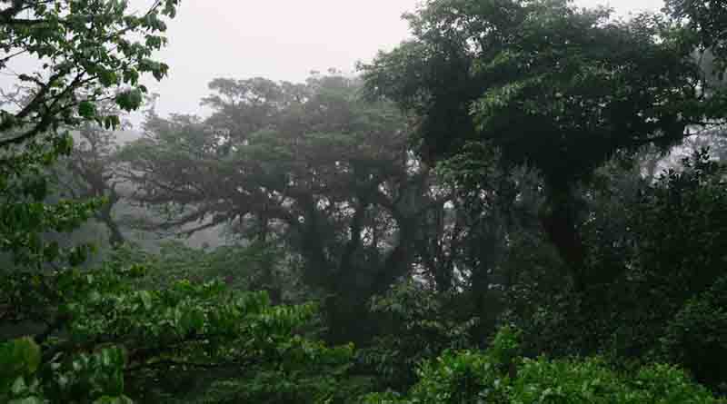 आगामी दिनों में कैसा रहेगा बारिश का मौसम, किसानों को दी जानकारी