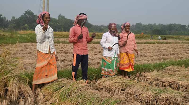 उन्नतशील कृषकों से 15 अगस्त तक आवेदन आमंत्रित
