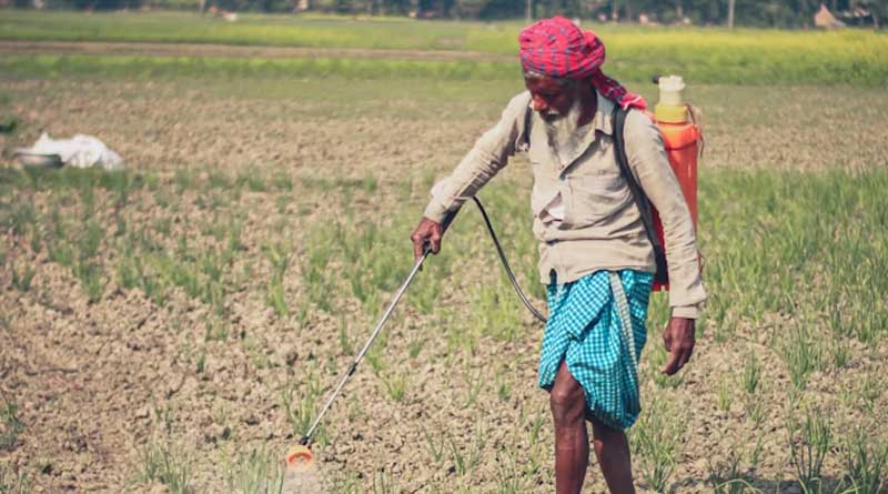 कीटनाशी छिड़काव से सुरक्षा के लिए मंत्रालय ने उठाया ठोस कदम