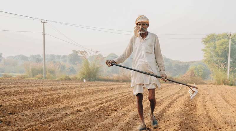 ई-नाम पोर्टल पर 1.79 करोड़ से अधिक किसान पंजीकृत