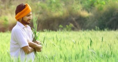 प्रधानमंत्री फसल बीमा योजना: छत्तीसगढ़ के 1.41 लाख किसानों को ₹152 करोड़ का हुआ भुगतान