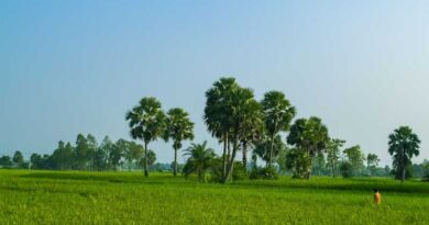 बारिश या बाढ़ से फसल हो गई बर्बाद? Digi-Claim से किसानों को तुरंत मिलेगा बीमा क्लेम, ऐसे करें आवेदन