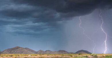 मध्यप्रदेश के 19 जिलों में भारी बारिश का अलर्ट, कई जगह आंधी-बिजली की चेतावनी