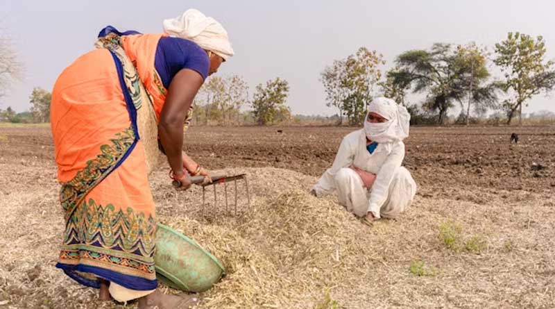 बुरहानपुर में कृषि आदान समीक्षा बैठक आयोजित