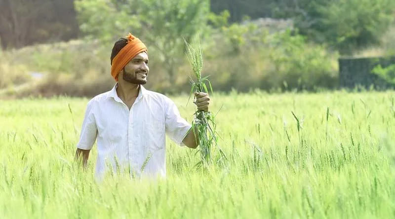 प्रदेश के किसानों को मिली पीएम किसान सम्मान निधि की राशि