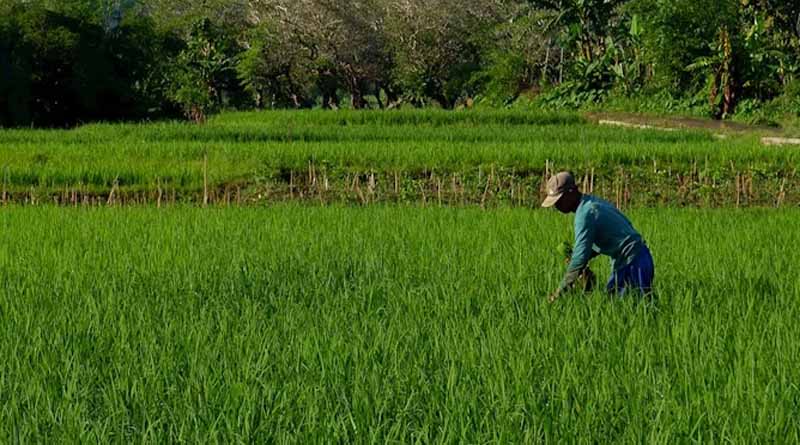 मध्यप्रदेश के किसानों के लिए खुशखबरी! 'बेस्ट फार्मर' को मिलेगा ₹50,000 तक का पुरस्कार, आवेदन प्रक्रिया शुरू