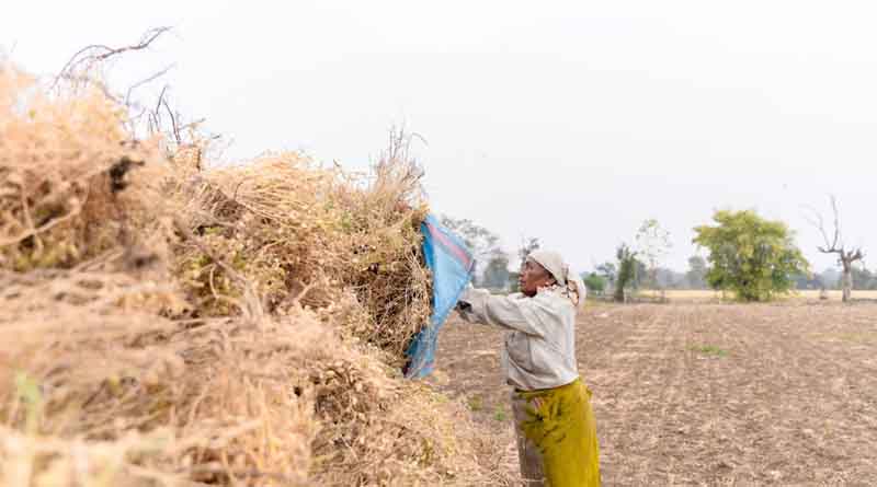 Farmer ID: 7 करोड़ किसानों को मिला डिजिटल पहचान पत्र, अब फसल और जमीन से जुड़ी हर जानकारी ऑनलाइन
