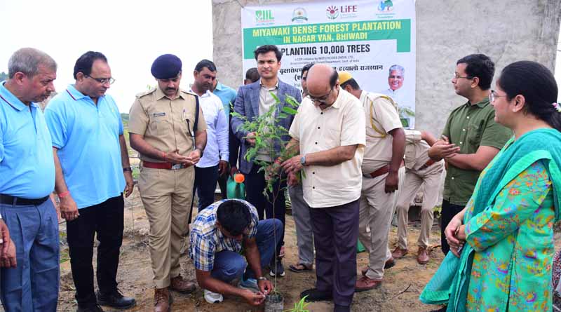 आईआईएल फाउंडेशन ने नगर वन, भिवाड़ी में 10,000 पेड़ लगाने और उनका संरक्षण करने की जिम्मेदारी ली