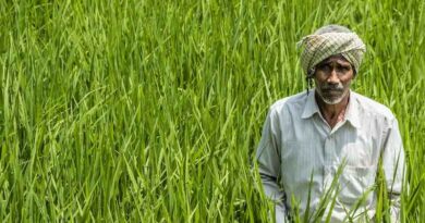 मध्यप्रदेश: इस योजना के तहत किसानों को मिलेगा 42 लाख तक लोन और 33% सब्सिडी, जानें पूरी डिटेल