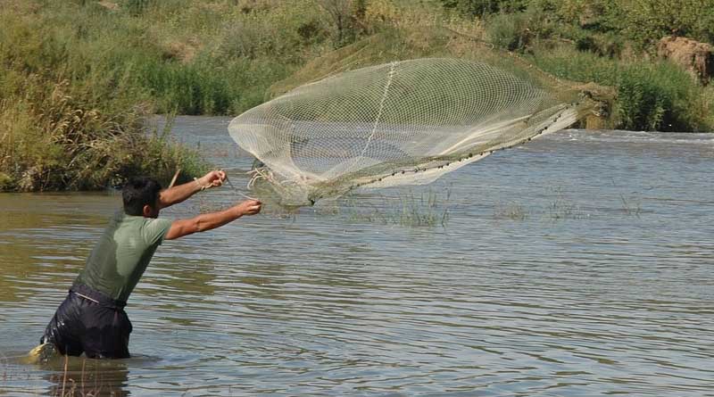 केज कल्चर यूनिट की स्थापना हेतु 10 सितम्बर तक आवेदन करें