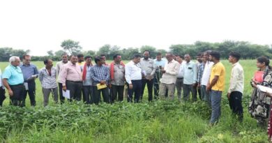 केन्द्रीय व राज्य स्तरीय कृषि वैज्ञानिक दल ने किया क्षतिग्रस्त फसलों का निरीक्षण