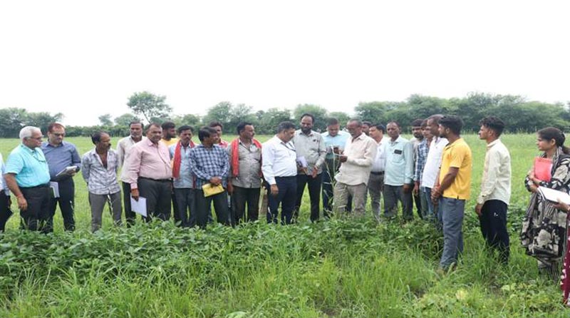 केन्द्रीय व राज्य स्तरीय कृषि वैज्ञानिक दल ने किया क्षतिग्रस्त फसलों का निरीक्षण