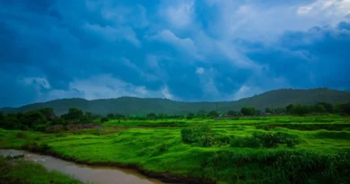 मध्यप्रदेश में मानसून एक्टिव, आज कई जिलों में भारी बारिश-बिजली का खतरा; IMD ने जारी किया अलर्ट