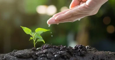 बड़वानी जिले में बायो इनपुट रिसोर्स सेंटर हेतु आवेदन आमंत्रित