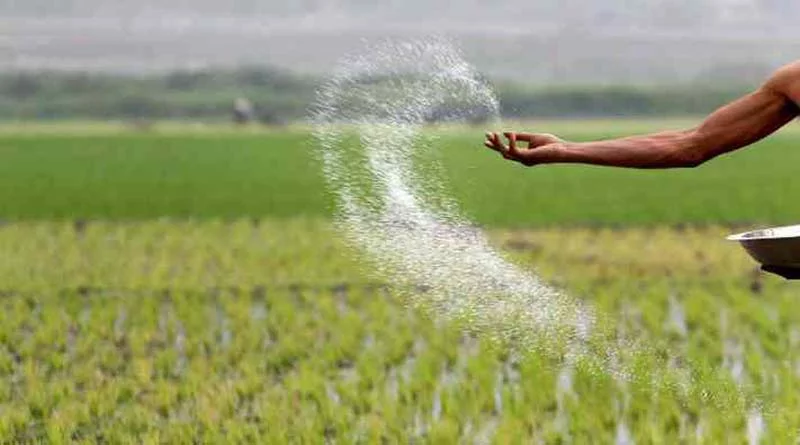 ग्वालियर जिले में पर्याप्त मात्रा में उर्वरक उपलब्ध