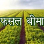 किसानों को किया फसल बीमा दावा राशि का भुगतान