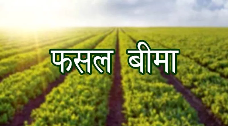 एमपी के 14 लाख से अधिक किसानों को मिला फसल बीमा राशि का लाभ