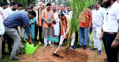 ऑयल पाम खेती से किसानों को मिलेगा 30 सालों तक निरंतर मुनाफा