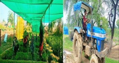 Success Story: MP की उषा ने खेती से लिखी तरक्की की कहानी, अब सालाना कमा रहीं 6 लाख रुपए