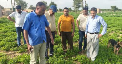 ग्वार, बाजरा और मूंगफली की फसलों में कातरे का प्रकोप, कृषि विभाग ने किसानों को दिए रोकथाम के सुझाव  