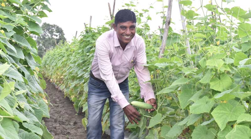 छत्तीसगढ़: सब्जियों की खेती से बदली किसान सुरेश की तकदीर, सालाना लाखों में हो रही कमाई