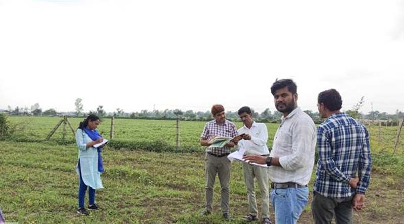 नकली कीटनाशक से सोयाबीन फसलें बर्बाद, कृषि विभाग ने विदिशा में 'बायोक्लोर' की बिक्री पर लगाई रोक