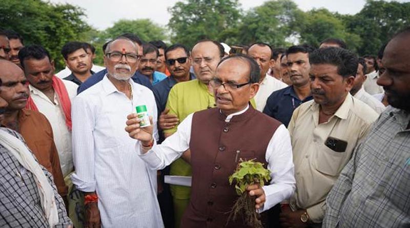 घटिया हर्बिसाइड पर केंद्र सख्त: MP के 3 जिलों में FIR, डीलरों के लाइसेंस निलंबित; देशभर में छापेमारी के आदेश