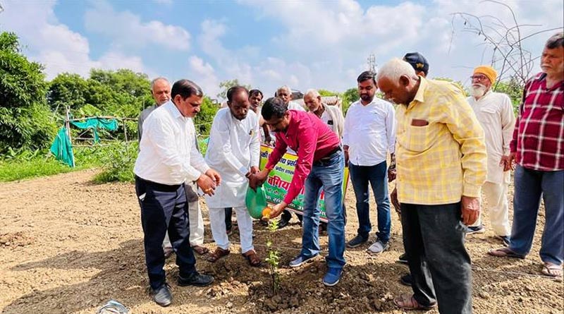 पारंपरिक खेती के मुकाबले फलों की खेती से कमाया जा सकता है अधिक लाभ - कलेक्टर