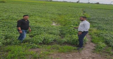 विदिशा में फसल गिरदावरी का भौतिक और डिजिटल सत्यापन जारी, सारा ऐप से हो रहा ऑन-साइट निरीक्षण