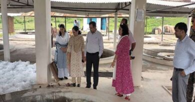 मध्यप्रदेश: मत्स्य बीज उत्पादन में उछाल, अब तक 31 करोड़ से ज्यादा बीज तैयार