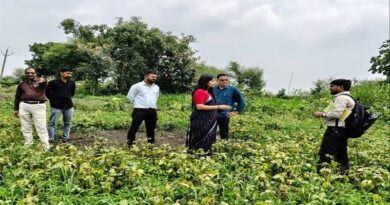 खरीफ फसलों के नुकसान का एसडीएम ने किया निरीक्षण, किसानों को मिलेगा मुआवजा