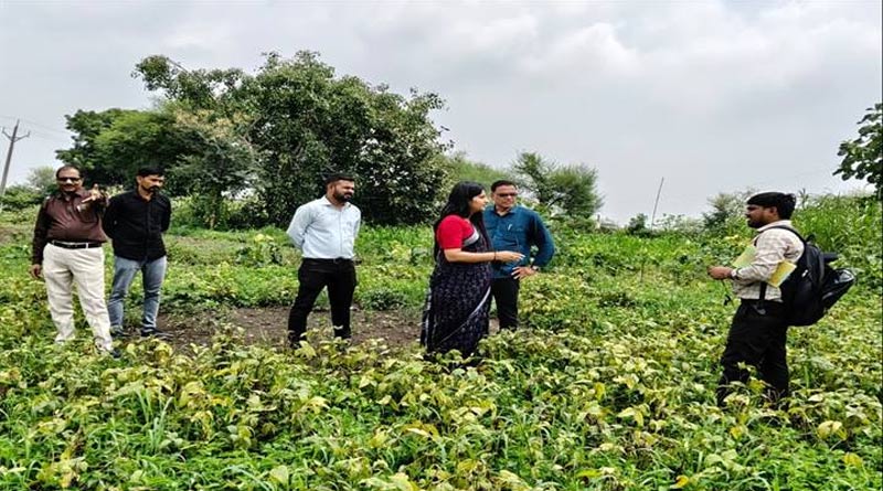 खरीफ फसलों के नुकसान का एसडीएम ने किया निरीक्षण, किसानों को मिलेगा मुआवजा