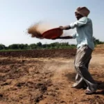 राजस्थान में खाद व्यापारियों पर बड़ी कार्रवाई: दो विक्रेताओं के लाइसेंस निलंबित, तीन को नोटिस जारी