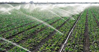 सेंसर आधारित ऑटोमेशन सिस्टम फॉर फर्टिगेशन 'परियोजना को मिली मंजूरी
