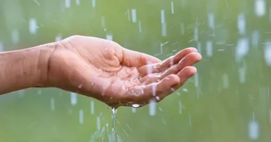 देशभर में मानसून सक्रिय: तेलंगाना-महाराष्ट्र समेत कई राज्यों में भारी वर्षा का अलर्ट, जानिए अपने राज्य का अपडेट