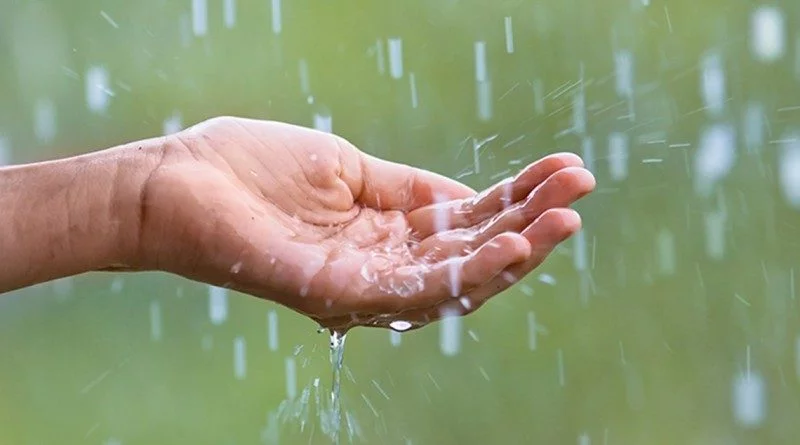 देशभर में मानसून सक्रिय: तेलंगाना-महाराष्ट्र समेत कई राज्यों में भारी वर्षा का अलर्ट, जानिए अपने राज्य का अपडेट