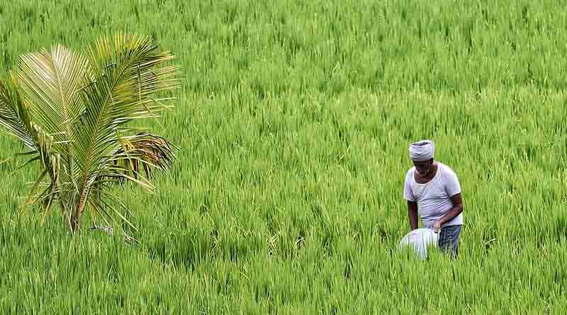  सर्वोत्तम कृषक पुरस्कार के लिए 30 अगस्त तक आवेदन आमंत्रित