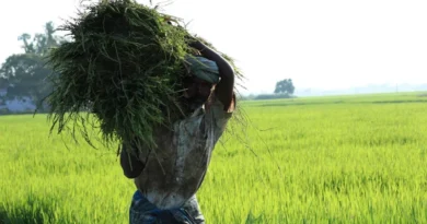 03 से 18 अक्टूबर तक चलेगा ‘विकसित कृषि संकल्प अभियान'