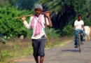 अशोकनगर में कृषक पुरस्कार हेतु आवेदन आमंत्रित