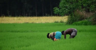 कृषि उद्योग समागम नवंबर में सीहोर में आयोजित होगा