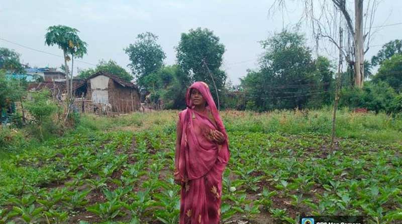 जैविक सब्‍जी उत्‍पादन से बदली आशा बाई की आर्थिक दशा