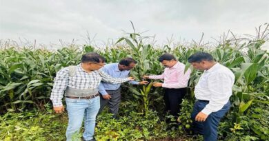 मोहखेड़ व छिंदवाड़ा के गांवों में किया फसलों का निरीक्षण