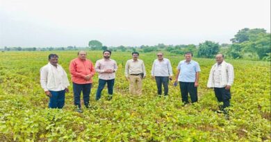कृषि निरीक्षण दल ने खातेगांव तहसील में देखी सोयाबीन की फसल