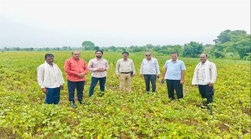 कृषि निरीक्षण दल ने खातेगांव तहसील में देखी सोयाबीन की फसल